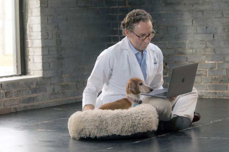 Bayou City Mobile Veterinary Specialists