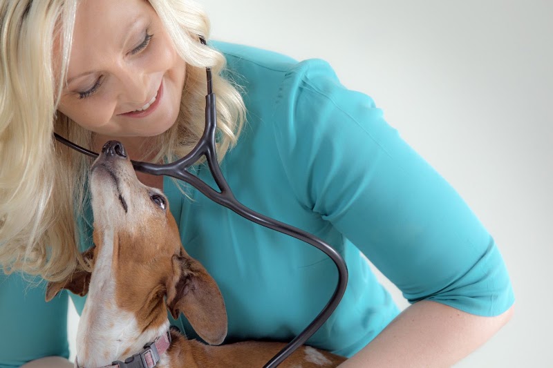 Bayou City Mobile Veterinary Specialists