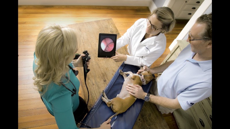 Bayou City Mobile Veterinary Specialists