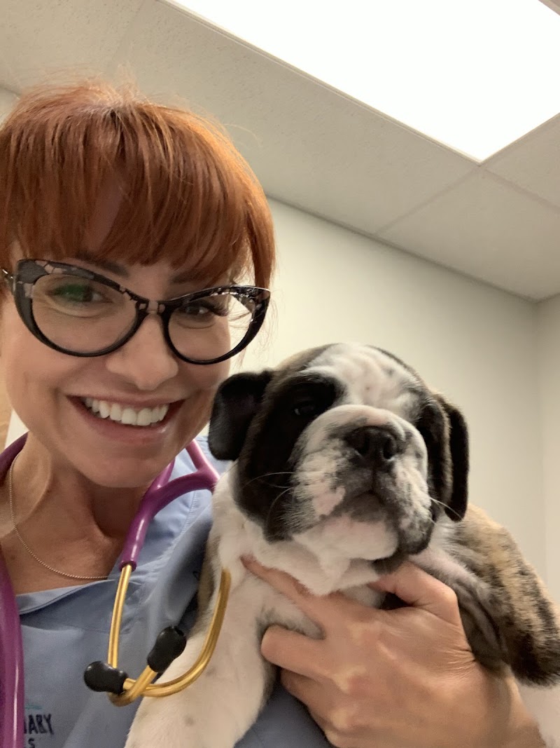 Urban Veterinary Associates