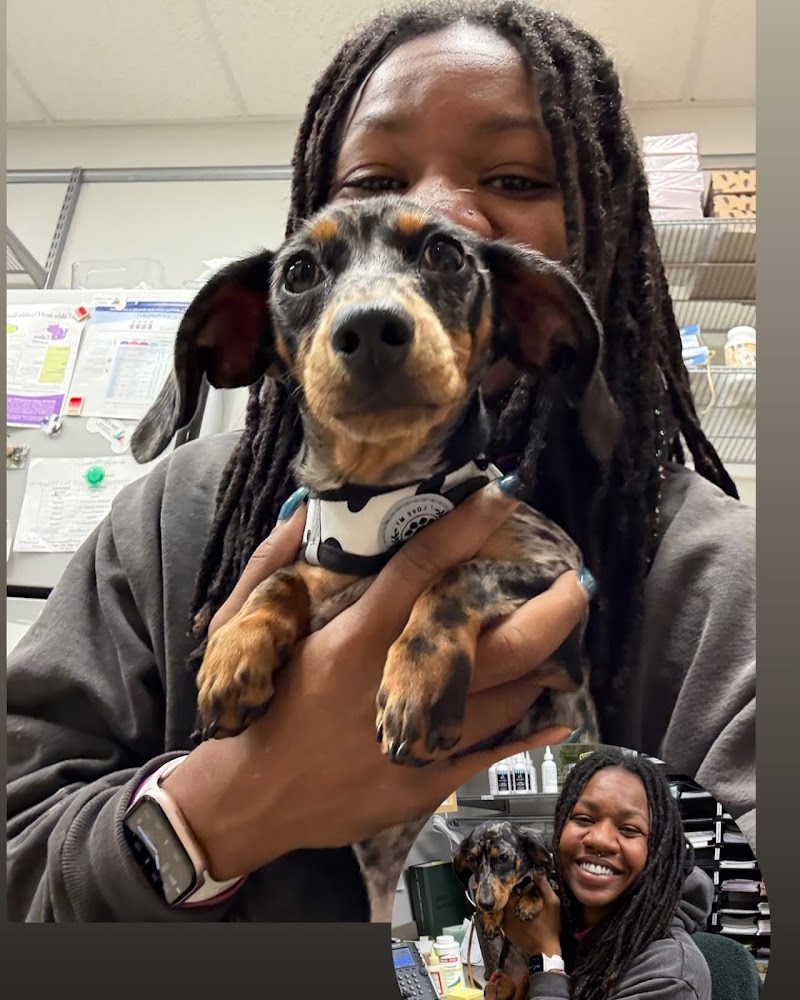 Urban Veterinary Associates