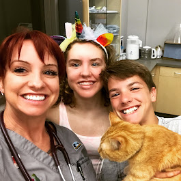 Urban Veterinary Associates
