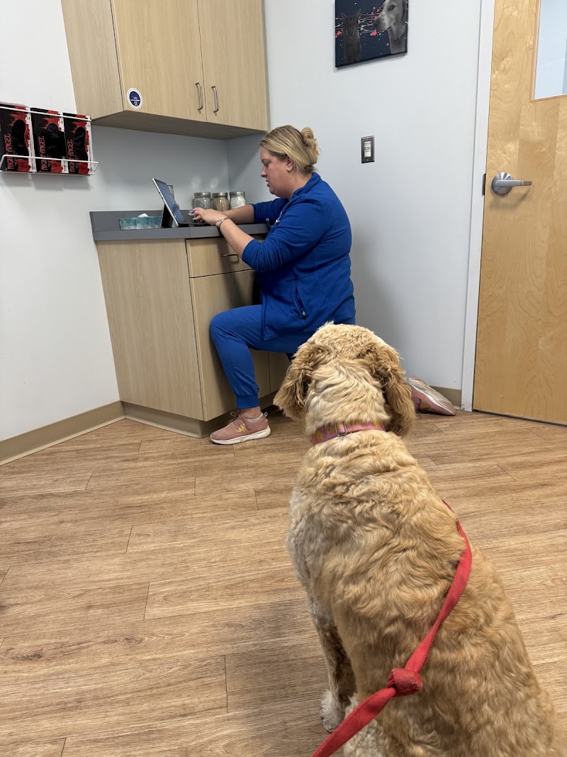 Veterinary Urgent Care Center - Braintree