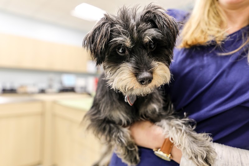 Veterinary Urgent Care Center - Braintree