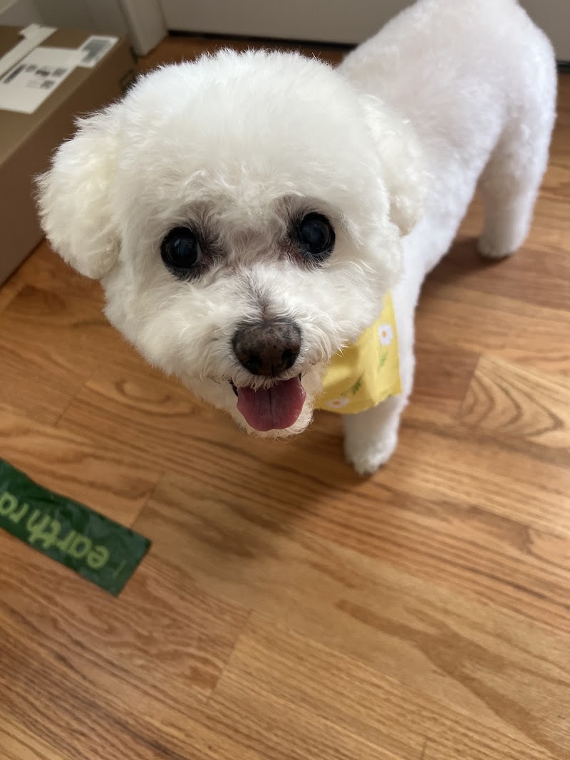 Veterinary Urgent Care Center - Braintree