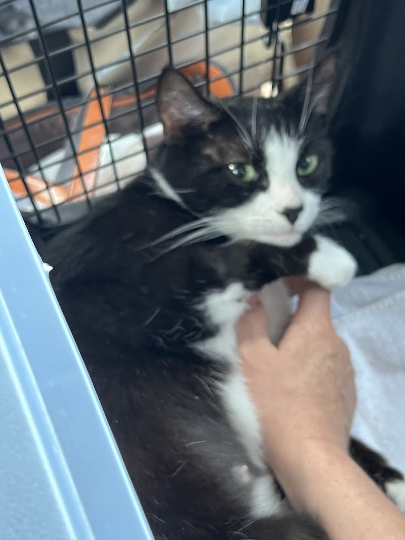 BluePearl Pet Hospital Wyomissing