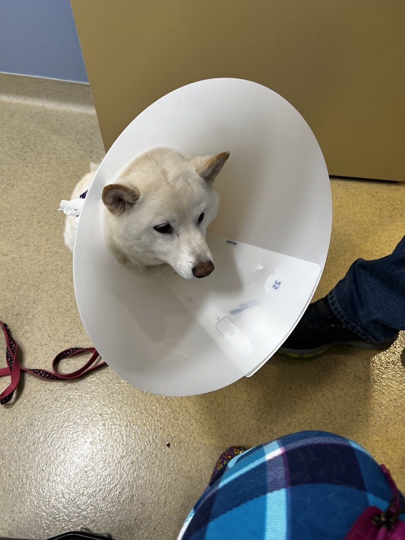 BluePearl Pet Hospital Wyomissing