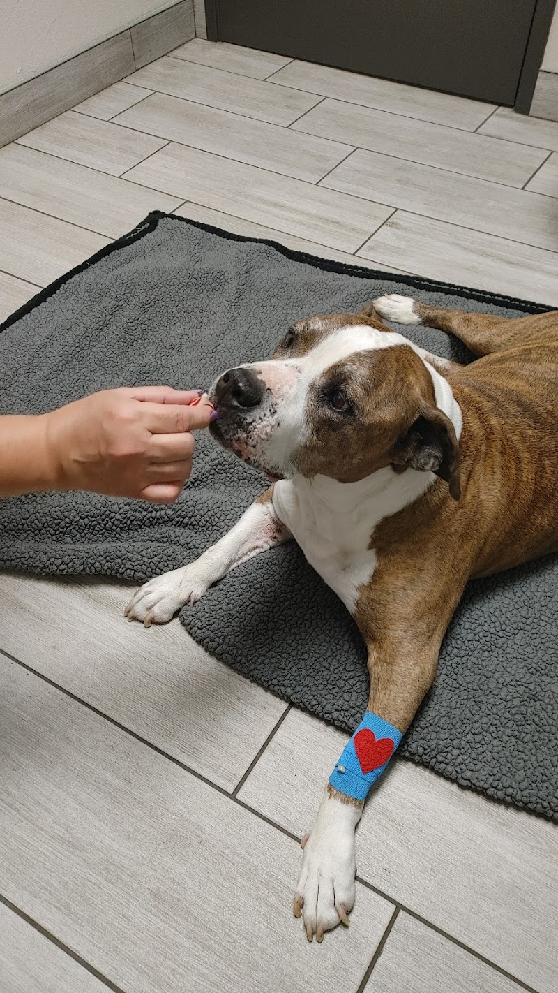 Stitch Veterinary Urgent Care and Surgery