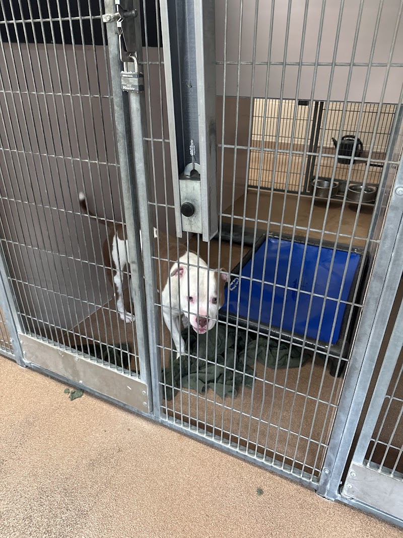 San José Animal Care Center