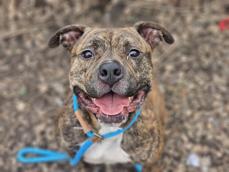 San José Animal Care Center