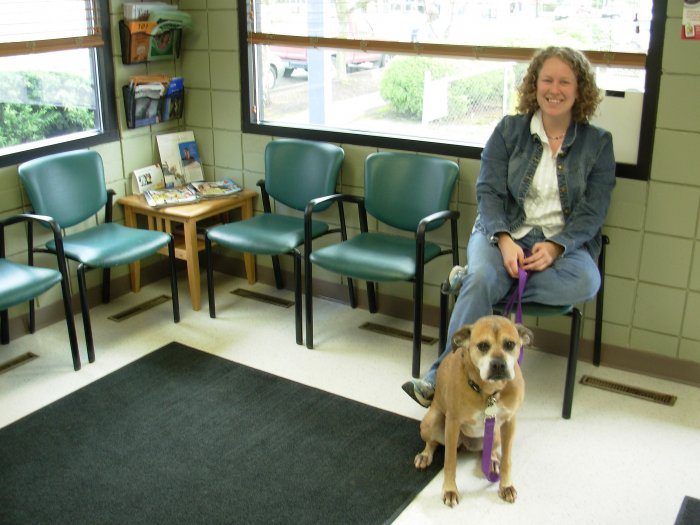 VCA Woodstock Animal Hospital