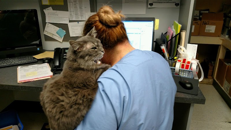 VCA Woodstock Animal Hospital