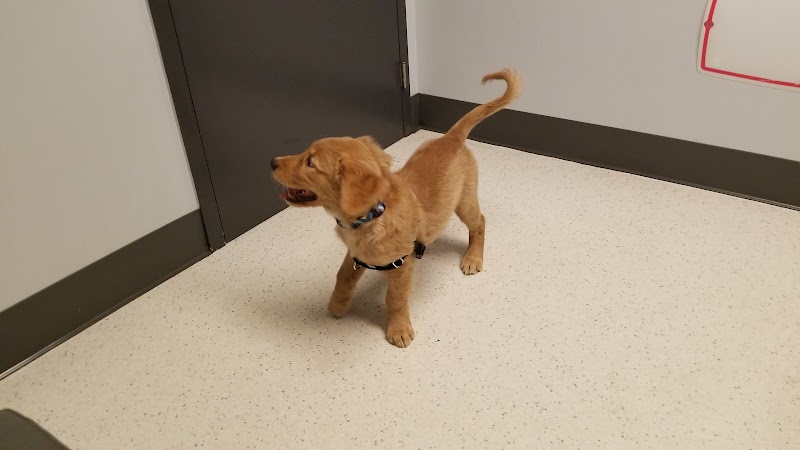 VCA Woodstock Animal Hospital