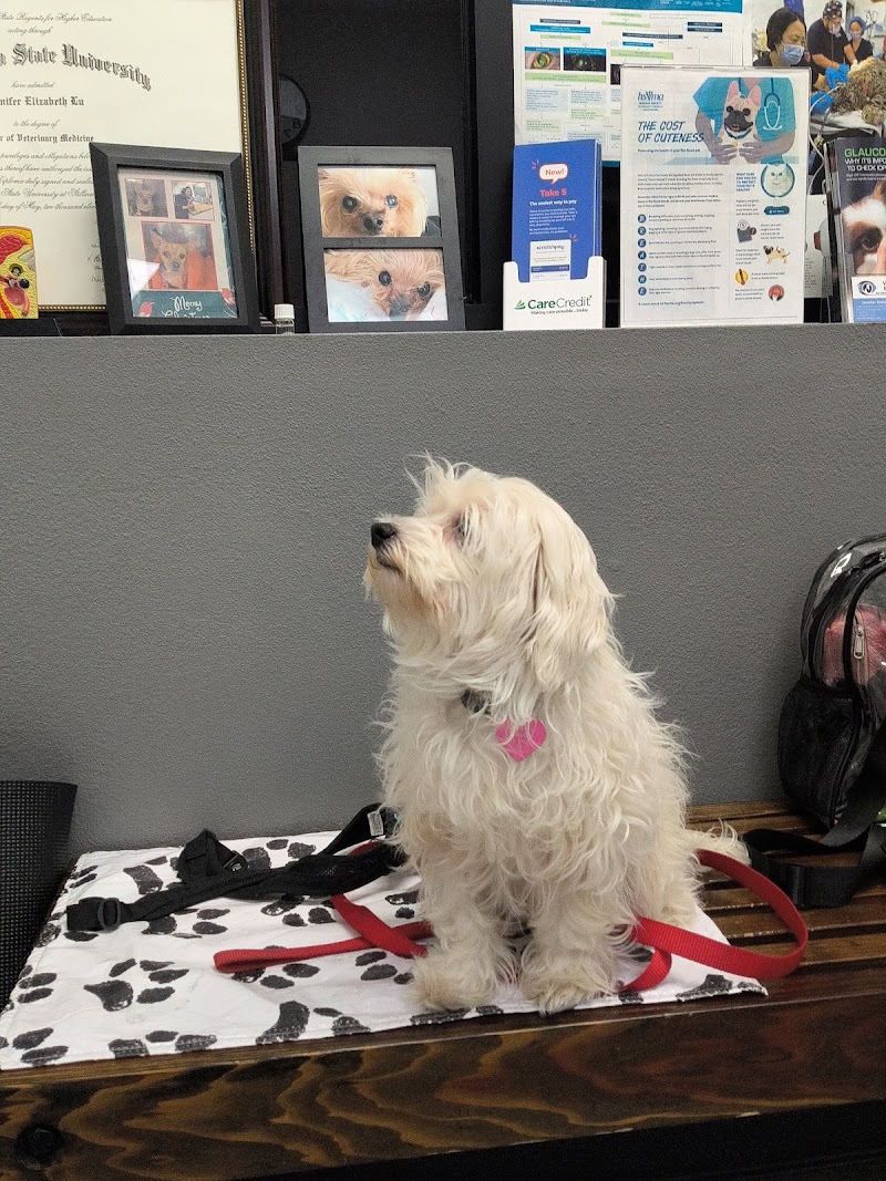 Veterinary Eye Clinic Alhambra