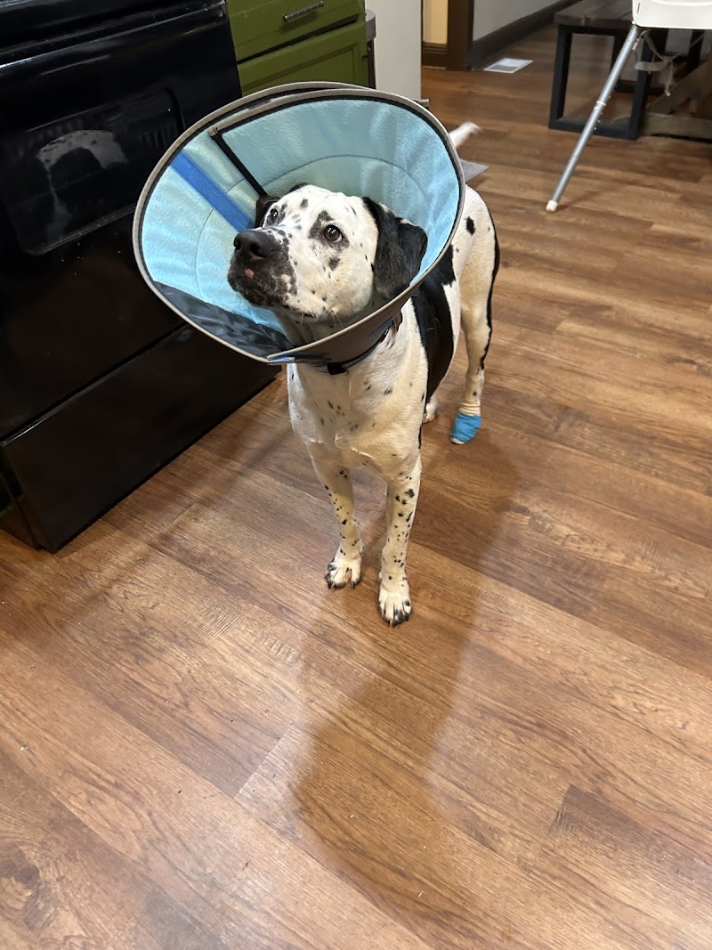 Northwest Georgia Veterinary Emergency Center