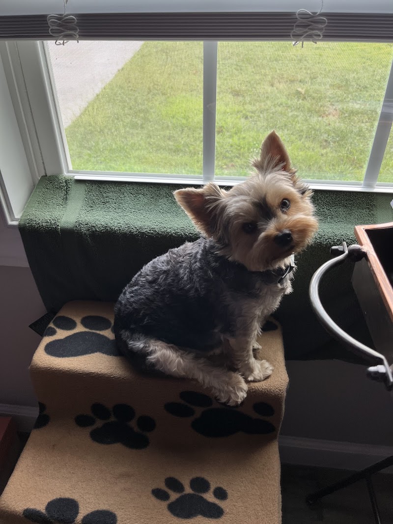 Northwest Georgia Veterinary Emergency Center