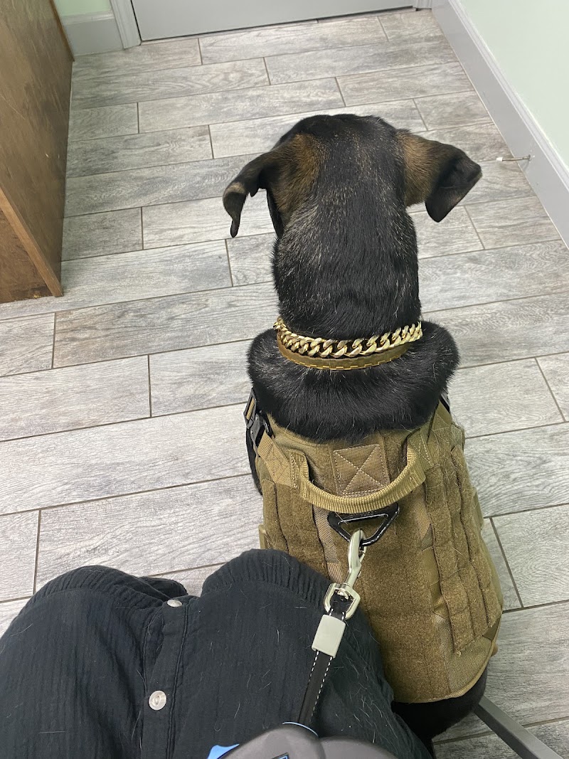Northwest Georgia Veterinary Emergency Center