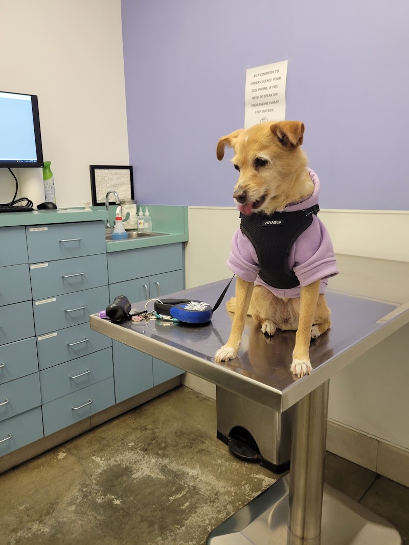 Veterinary Healthcare Center