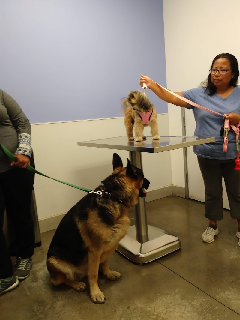 Veterinary Healthcare Center