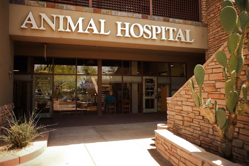 Animal Hospital at Grayhawk