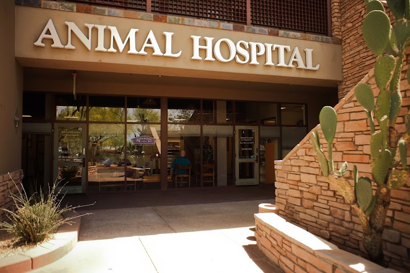 Animal Hospital at Grayhawk