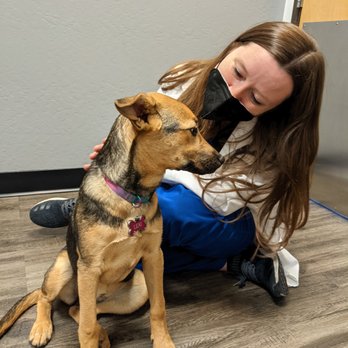 Animal Hospital at Grayhawk