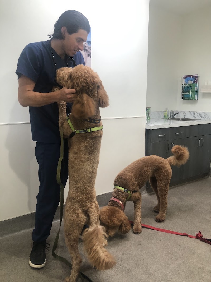 La Jolla Veterinary Hospital