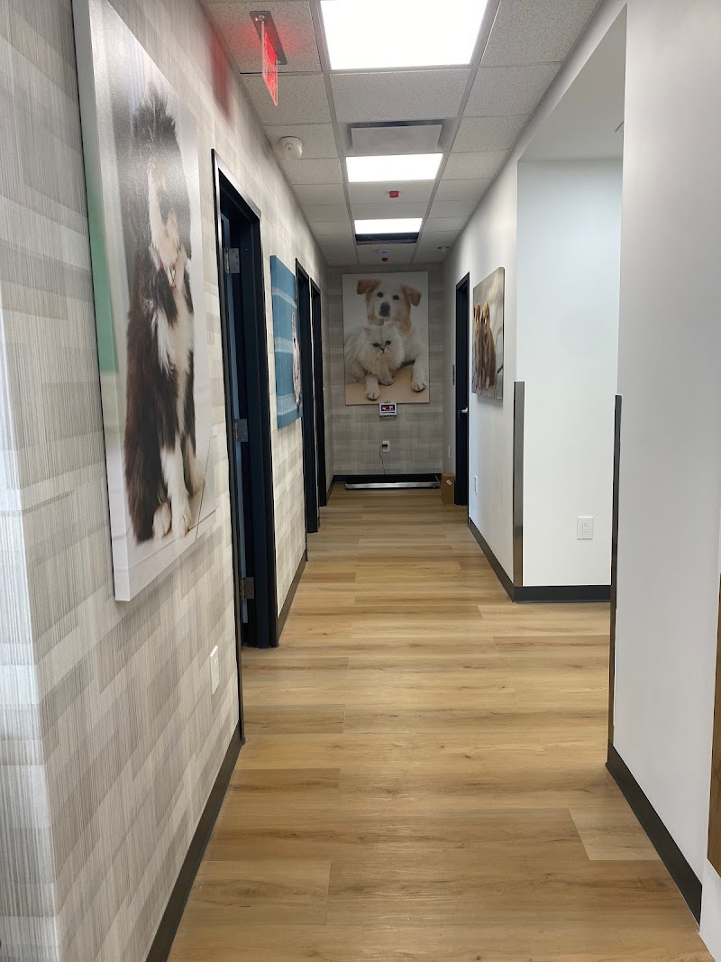 University Animal Hospital