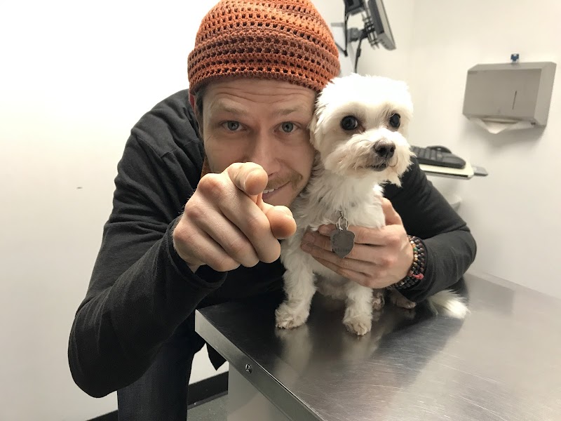 University Animal Hospital