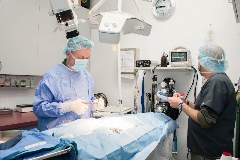 University Animal Hospital