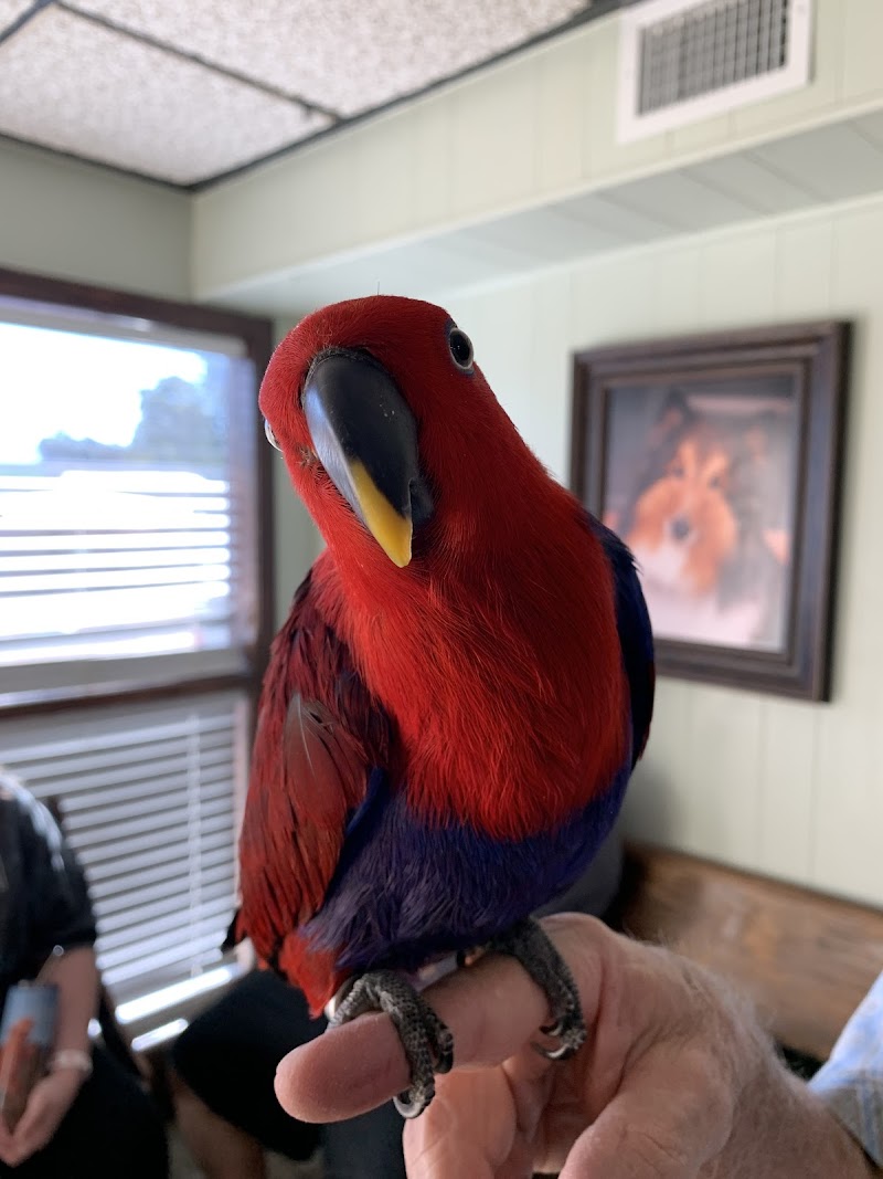 Broadway Oaks Animal Hospital