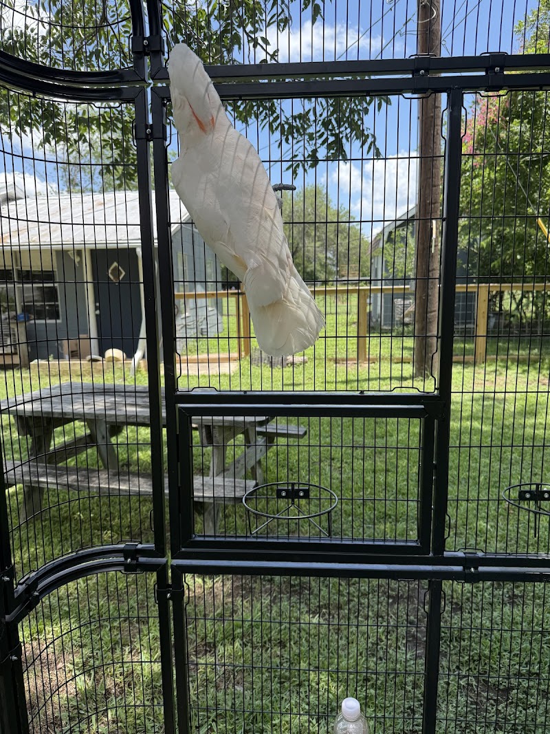 Broadway Oaks Animal Hospital