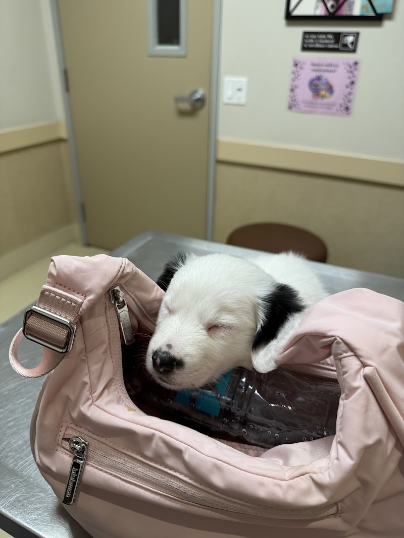 Pet Emergency & Specialty Center-East County