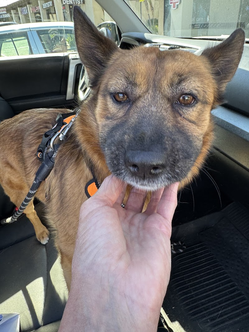 Pet Emergency & Specialty Center-East County