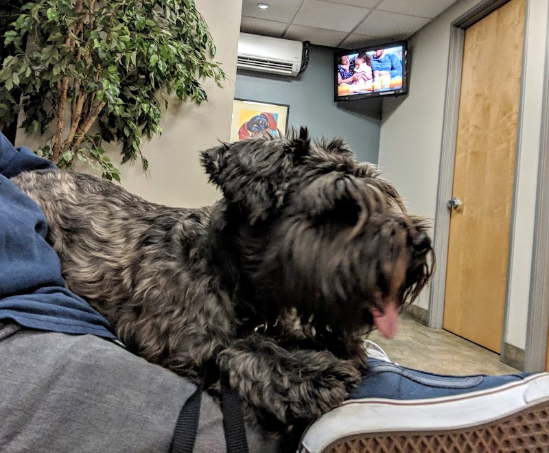 Pet Emergency & Specialty Center-East County