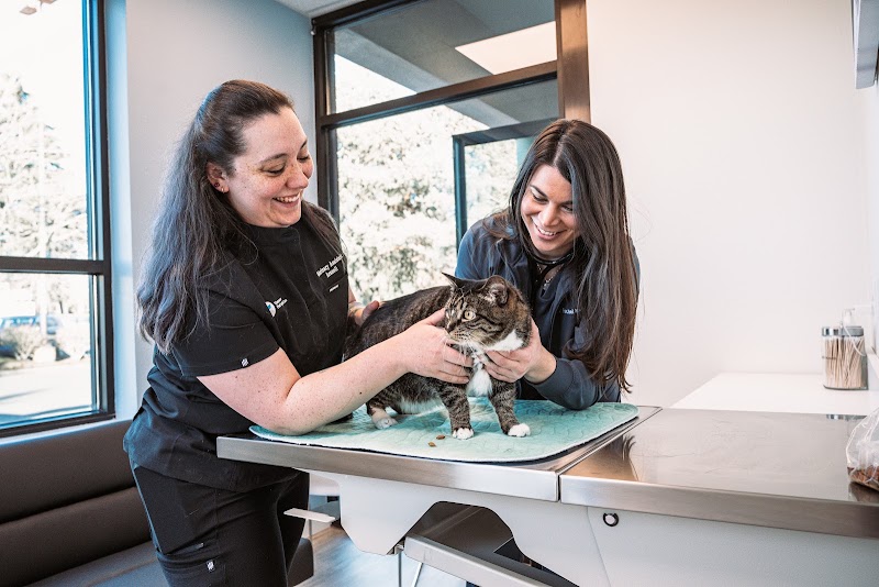 Vancouver Pet Urgent Care - Vancouver