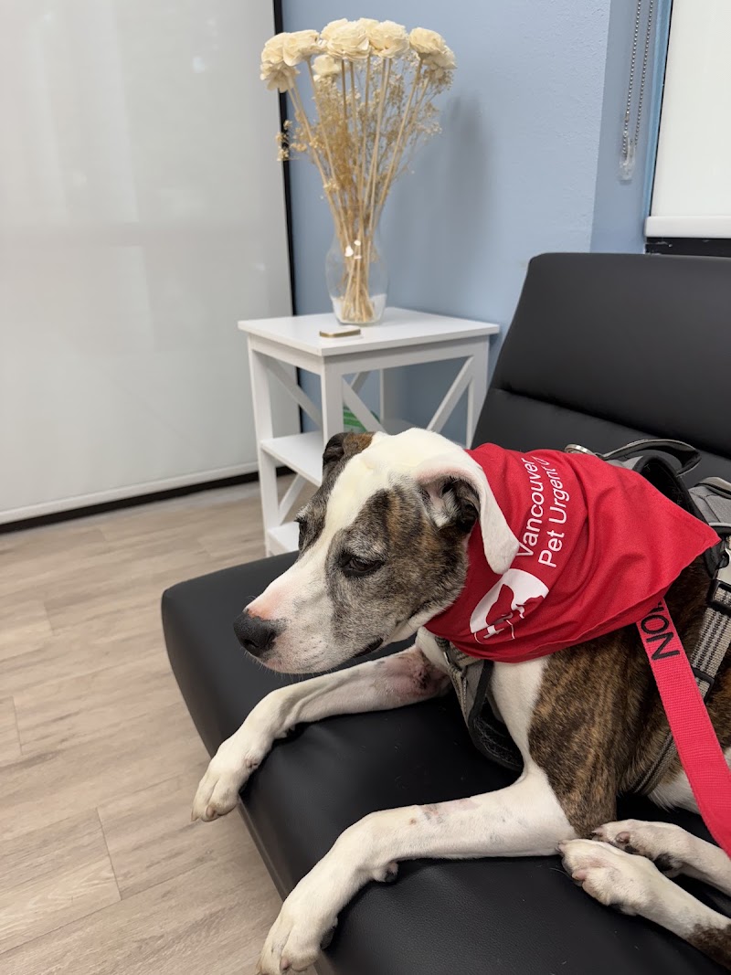 Vancouver Pet Urgent Care