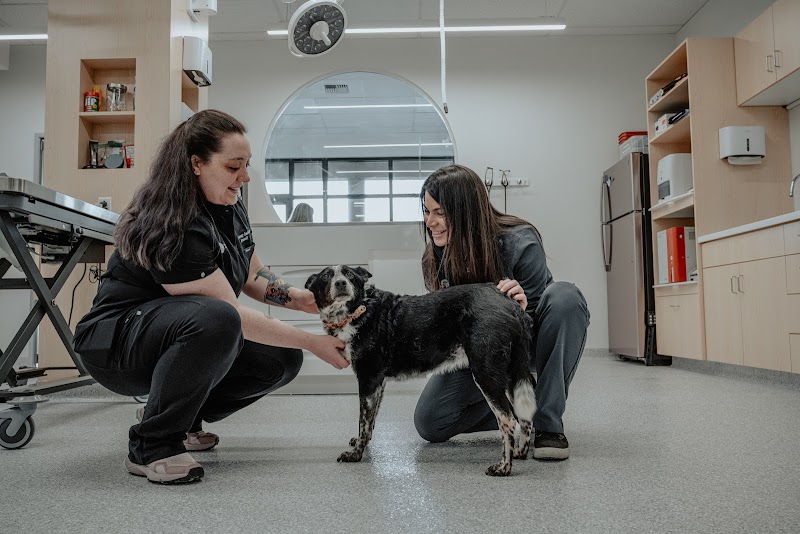 Vancouver Pet Urgent Care