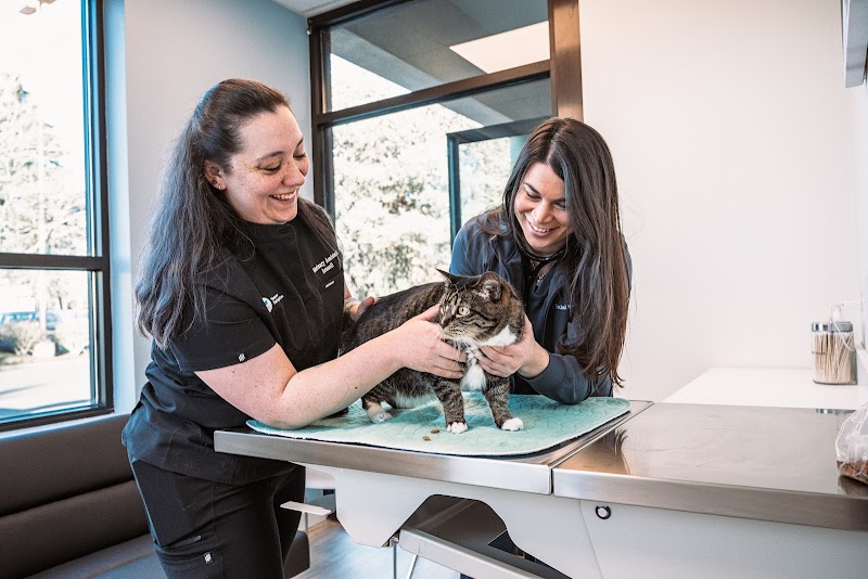 Vancouver Pet Urgent Care - Vancouver