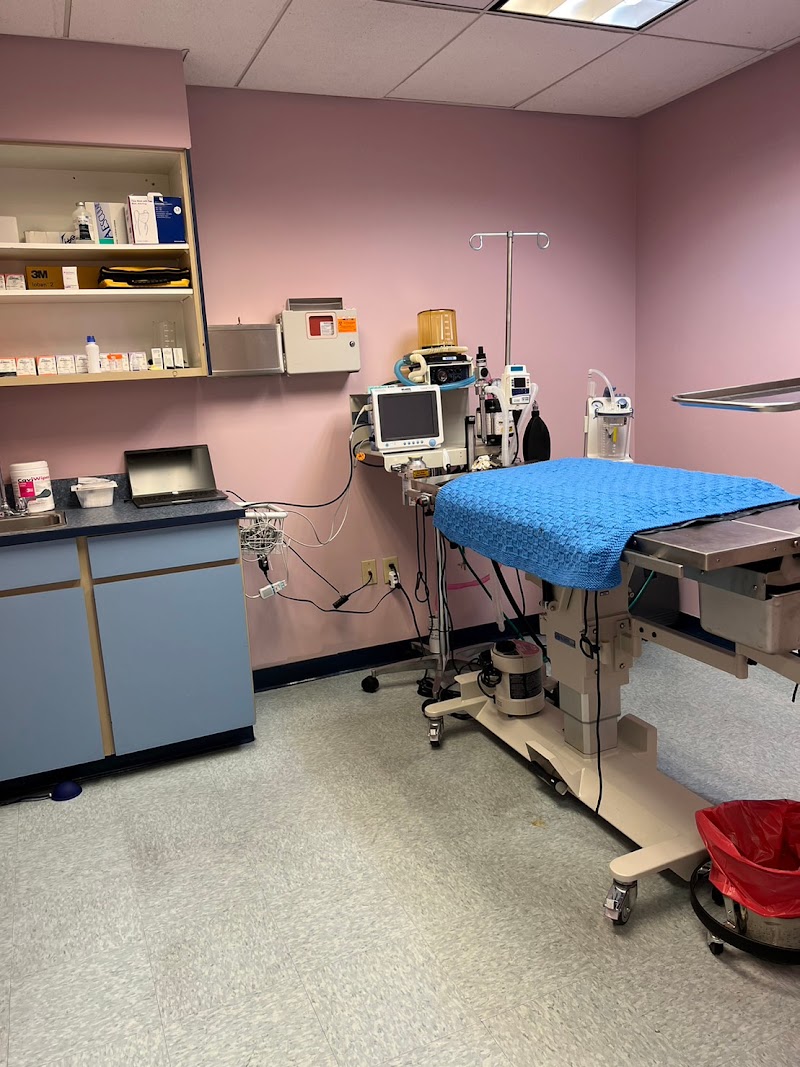 Animal Surgical Care