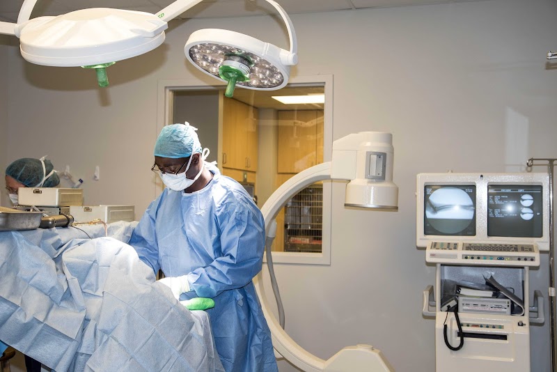 North Georgia Veterinary Specialists