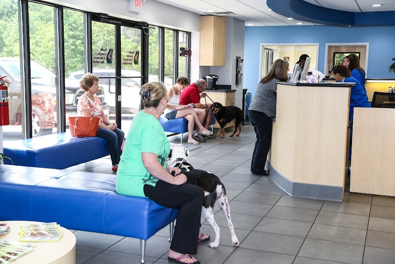 North Georgia Veterinary Specialists