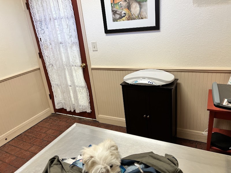 VCA Lakeline Animal Hospital