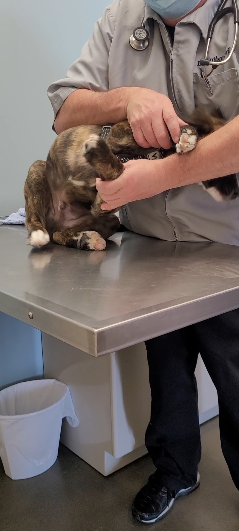 Neighborhood Veterinary Centers - Canyon Lakes