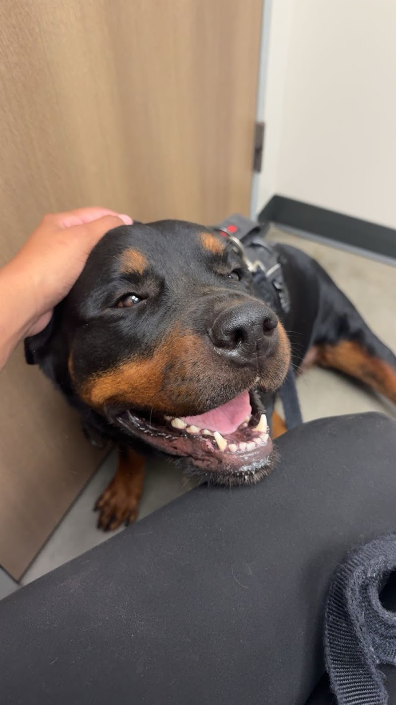 Neighborhood Veterinary Centers - Canyon Lakes