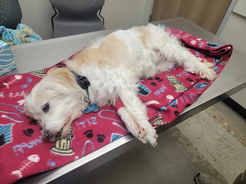 Neighborhood Veterinary Centers - Canyon Lakes