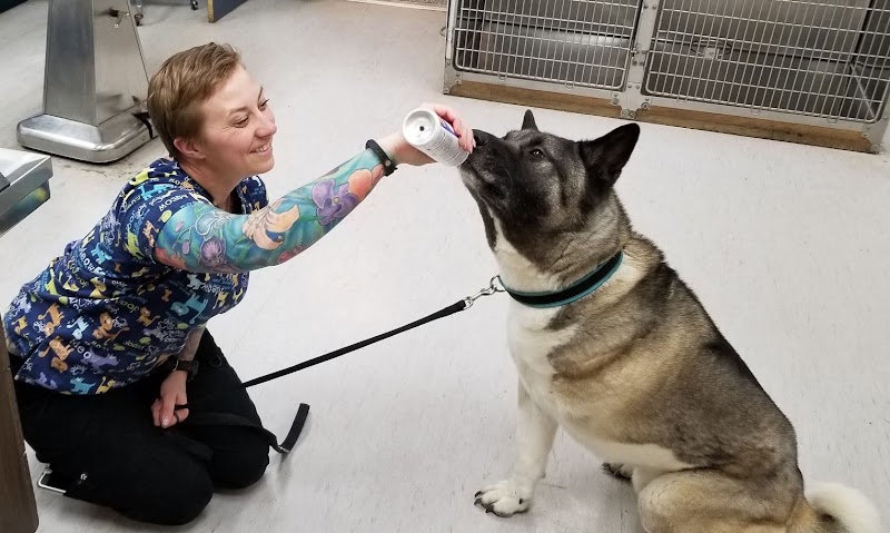 Golden Valley Animal Hospital