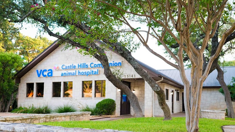 VCA Castle Hills Companion Animal Hospital
