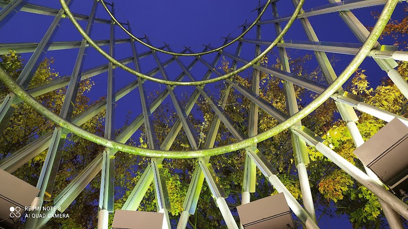 Fred Hutch Cancer Center