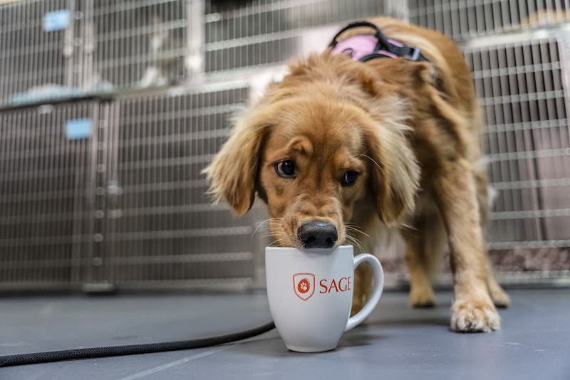 SAGE Veterinary Centers - Dublin